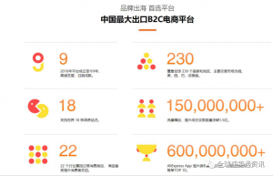 全面解析全球速卖通：入门指南与必备知识
